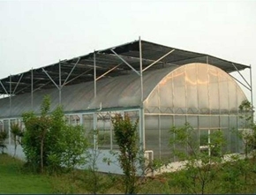 منشأة زراعية ذات دفيئة ذات مساحة واحدة