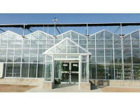 Ticari Venlo Tarım Serası