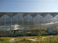 Ticari Venlo Tarım Serası