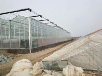 Venlo Polycarbonate Panel Greenhouse