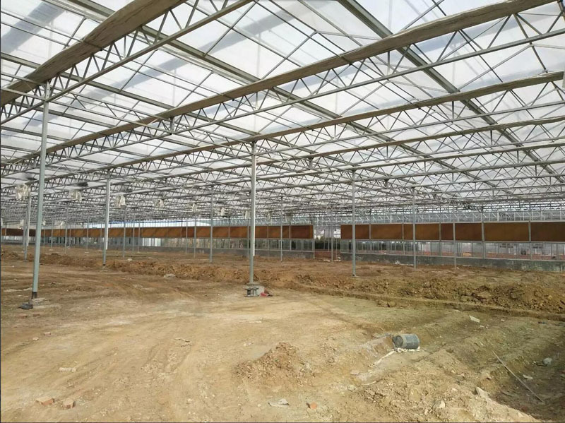 Venlo Polycarbonate Panel Greenhouse