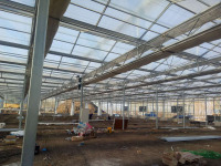 Venlo Polycarbonate Panel Greenhouse
