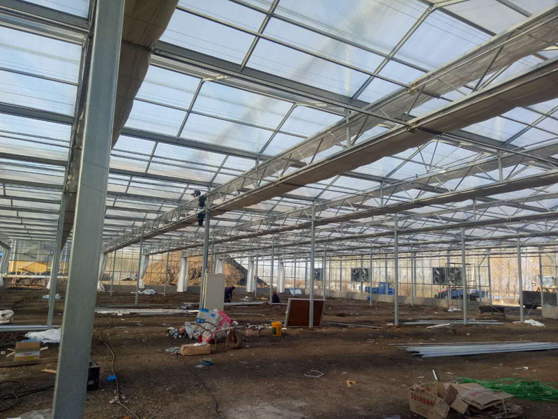 Venlo Polycarbonate Panel Greenhouse