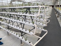 NFT 水耕システムを備えた農業用温室