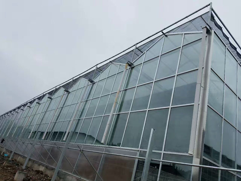 Serre commerciale à travées multiples avec circuit imprimé