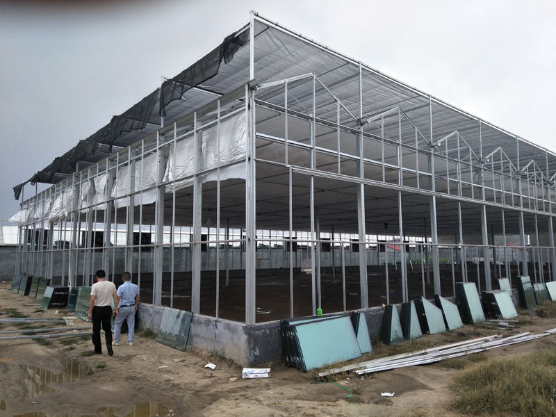 Serre commerciale à travées multiples avec circuit imprimé