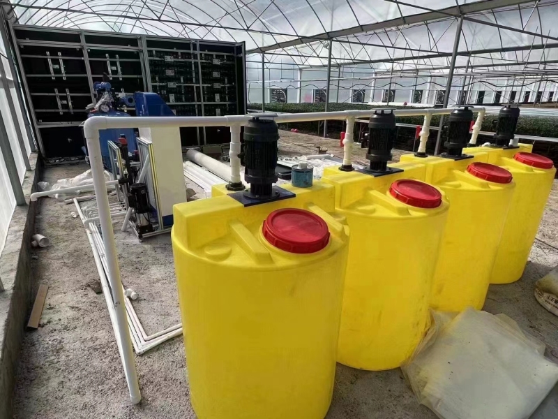 Invernadero de tomates con sistema automático