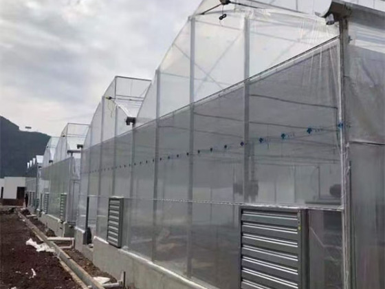 Film de ventilation en dents de scie pour serre