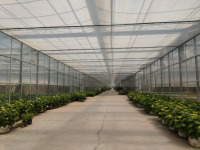 Film de ventilation en dents de scie pour serre