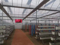 Film de ventilation en dents de scie pour serre