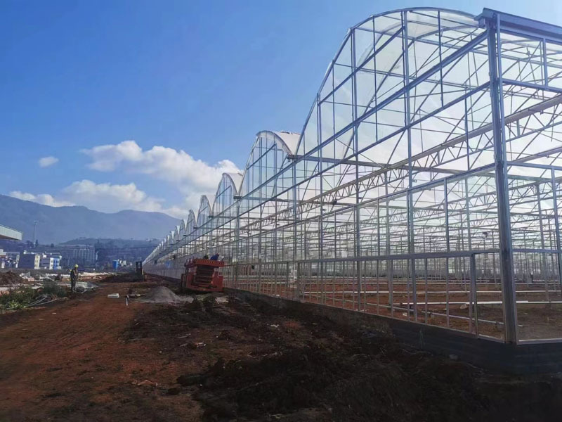 低コストのチェリー温室