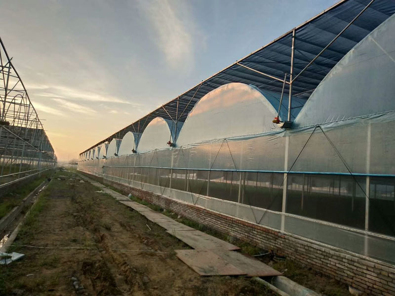マルチスパンアーチプラスチックフィルム温室