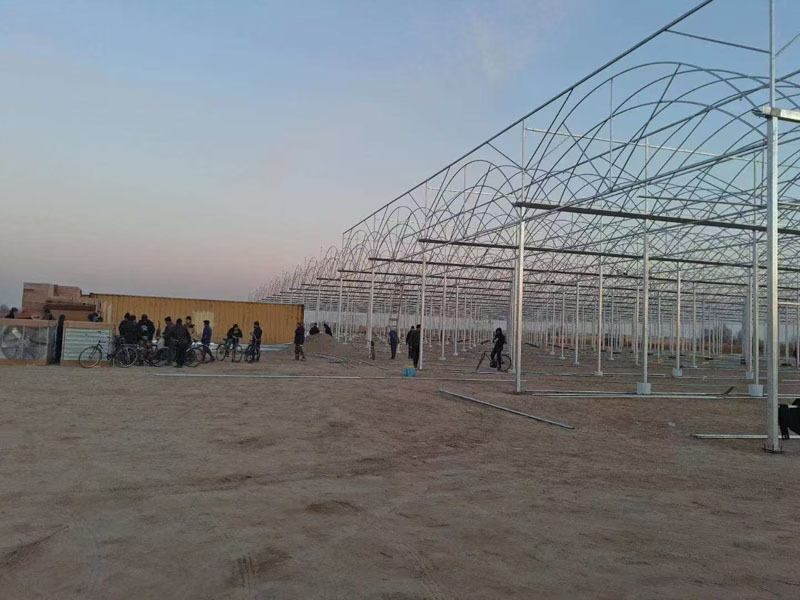 マルチスパンアーチプラスチックフィルム温室