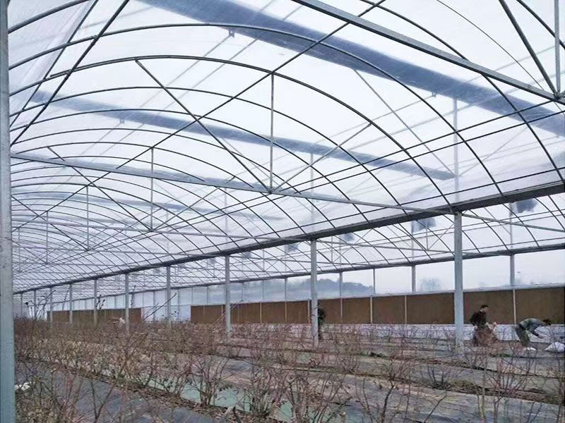 マルチスパンアーチプラスチックフィルム温室