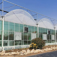 Serre commerciale à travées multiples pour tomates