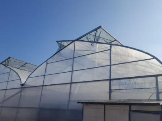 バタフライ換気フィルム温室