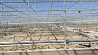 Butterfly Ventilation Film Greenhouse