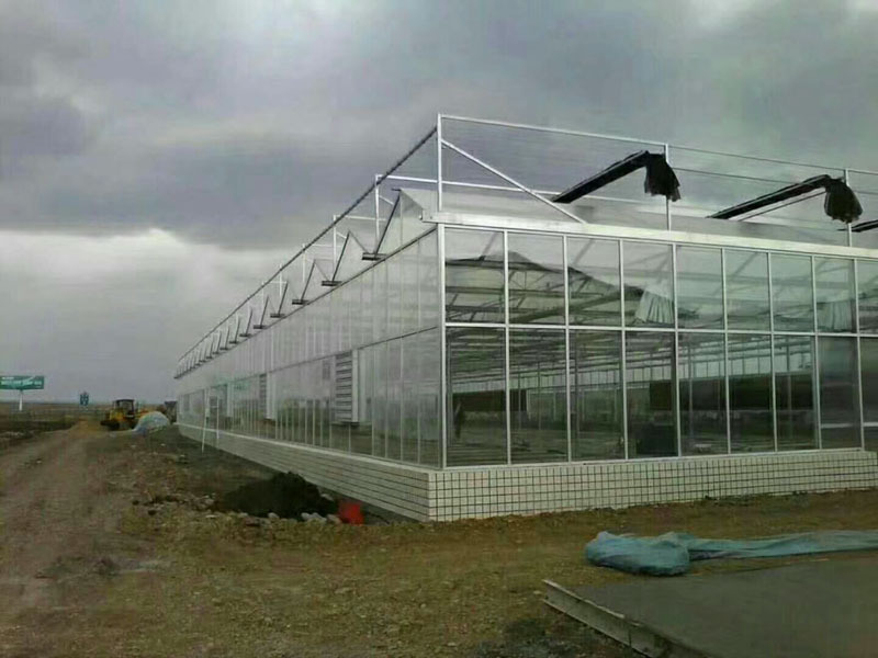 Çilek PC Sera Dikim Sistemi ile