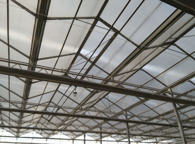 Invernadero de policarbonato con estructura galvanizada