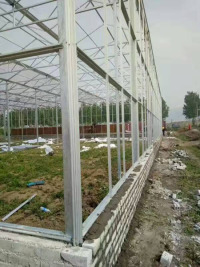 Invernadero de policarbonato con estructura galvanizada