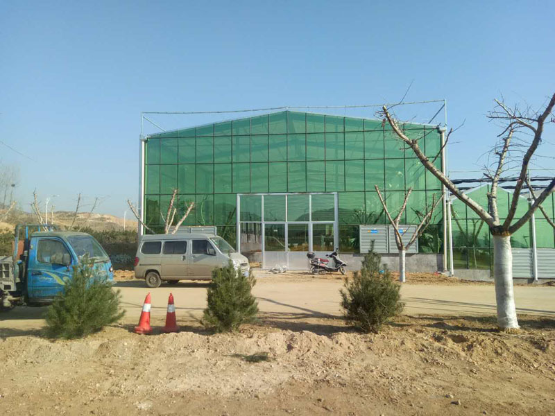 Modern Agricultural Greenhouse With High Quality