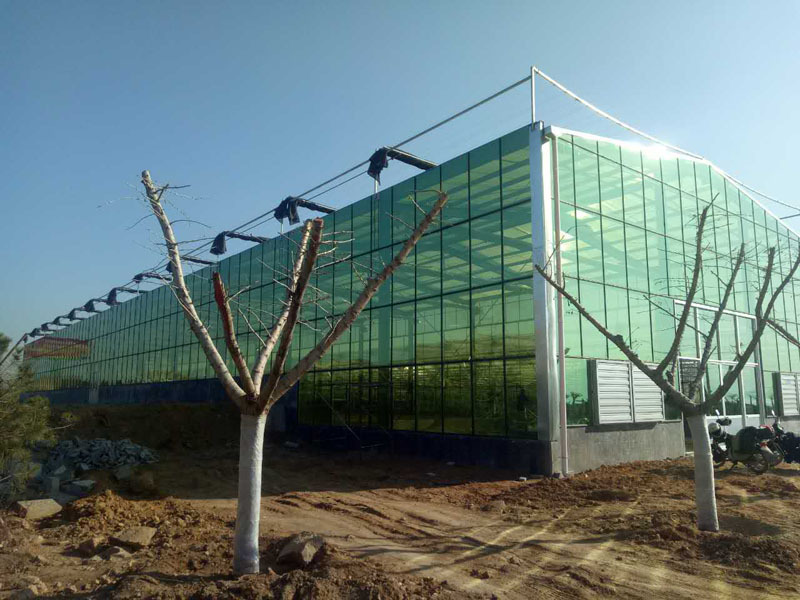 Modern Agricultural Greenhouse With High Quality