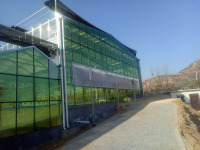 Modern Agricultural Greenhouse With High Quality