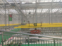 Modern Agricultural Greenhouse With High Quality