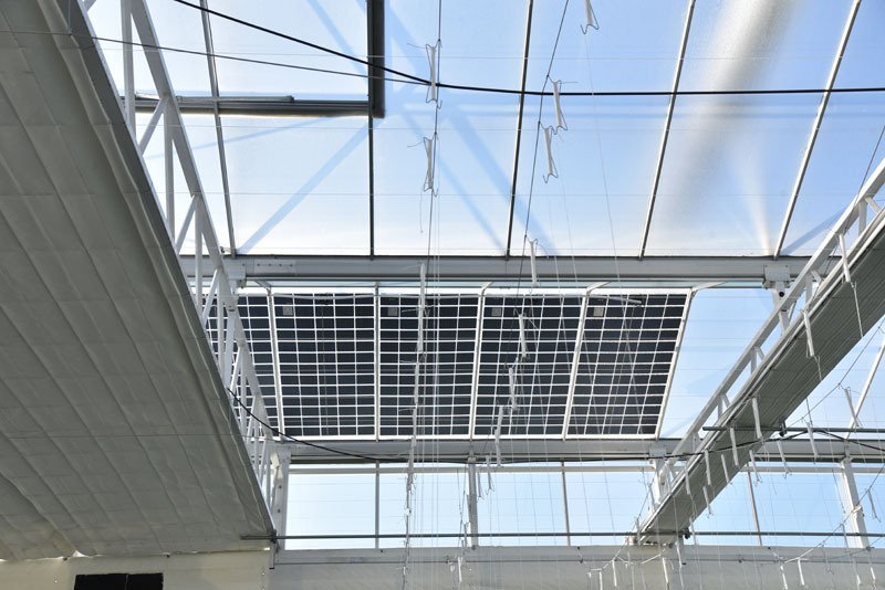 自動制御ポリカーボネート温室