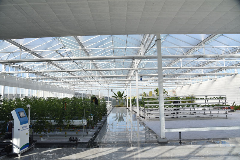 Supply Automatic Control Polycarbonate Greenhouse Wholesale Factory ...