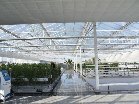 Otomatik Kontrol Polikarbon Sera