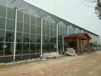 8mm Polycarbonate Sheet Covering Greenhouse