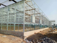8mm Polycarbonate Sheet Covering Greenhouse