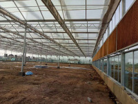 8mm Polycarbonate Sheet Covering Greenhouse