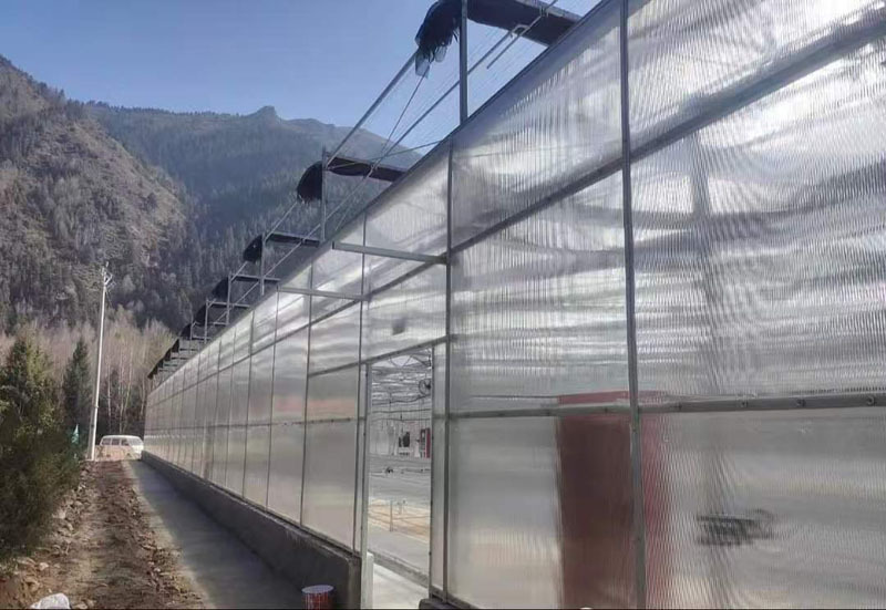 Hidroponik Sistemli Ticari PC Sera