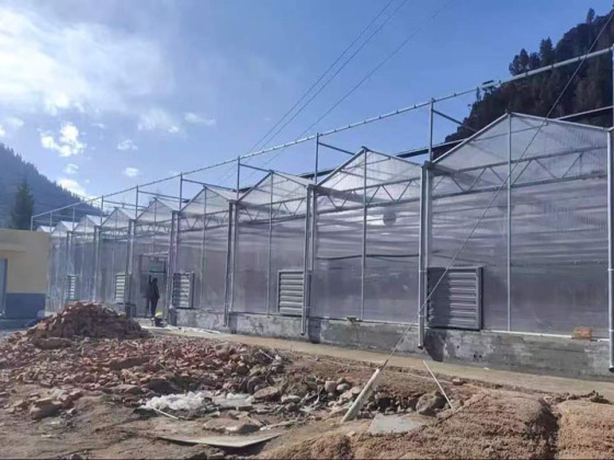 Hidroponik Sistemli Ticari PC Sera