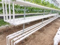 Листовые овощи с гидропонной теплицей НФТ