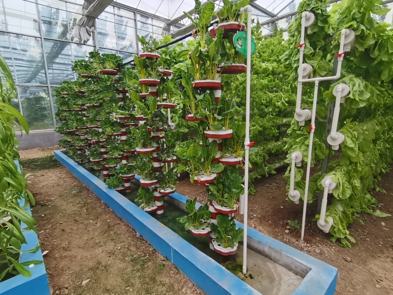 Serre agricole à contrôle intelligent