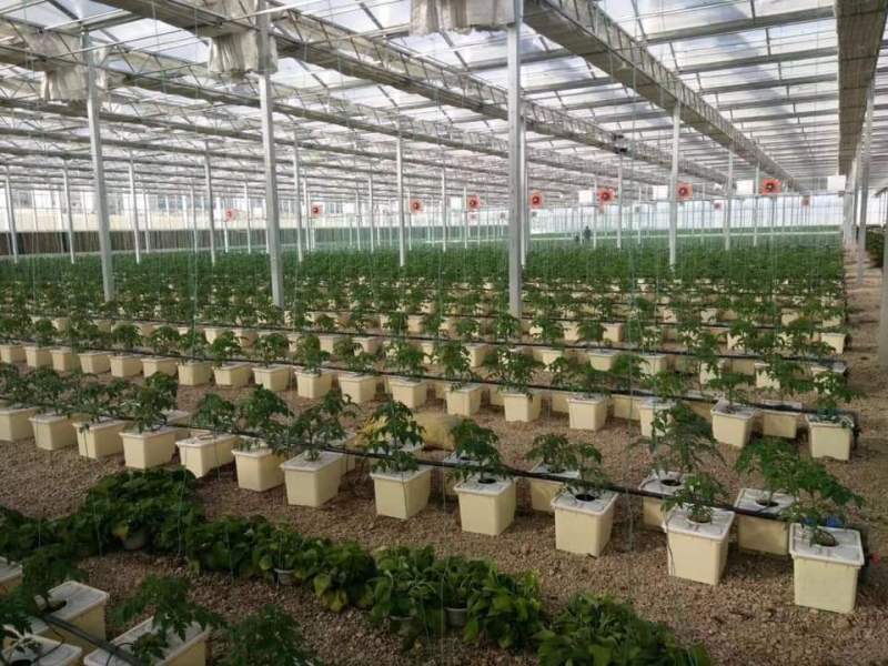 Serre agricole à contrôle intelligent