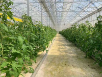 野菜用プレハブ温室