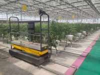 Modern Akıllı İklim Kontrol Serası