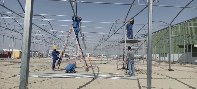 Galvaniz Çerçeve Plastik Tarım Serası