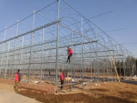 Galvaniz Çerçeve Plastik Tarım Serası