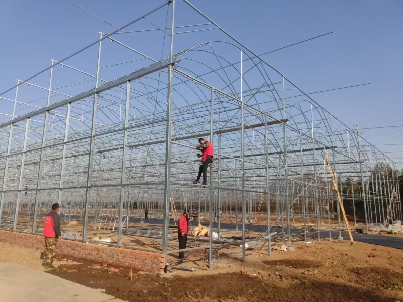 Galvaniz Çerçeve Plastik Tarım Serası