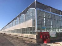 Modern Akıllı İklim Kontrol Serası