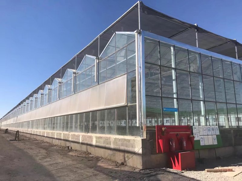 Modern Akıllı İklim Kontrol Serası