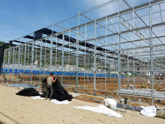 Modern Intelligent Climtae Control Greenhouse