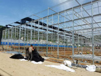 Modern Akıllı İklim Kontrol Serası