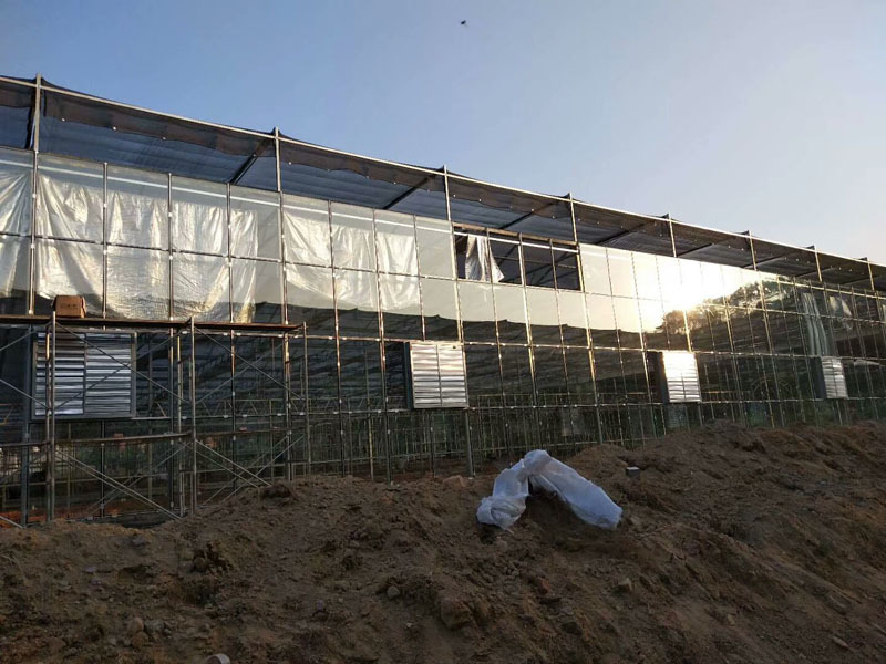 Modern Akıllı İklim Kontrol Serası