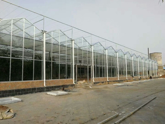 Serre en tôle de polycarbonate à cadre galvanisé